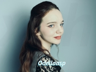 Odellaasp