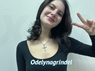 Odelynagrindel