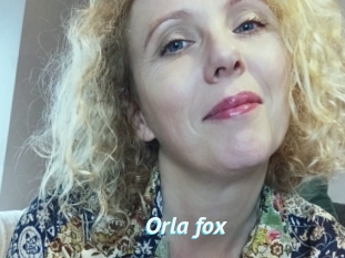 Orla_fox