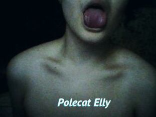Polecat_Elly