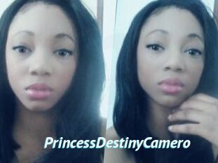 PrincessDestinyCamero