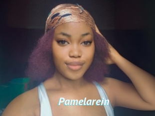 Pamelarein