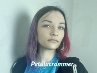 Petulacrammer