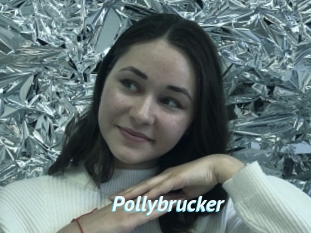 Pollybrucker