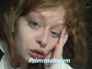 Primroseborom