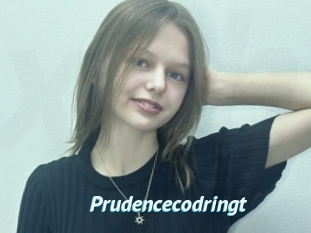 Prudencecodringt