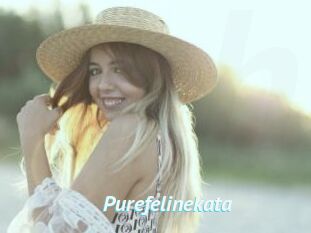 Purefelinekata