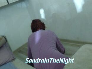 SandraInTheNight