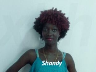Shandy
