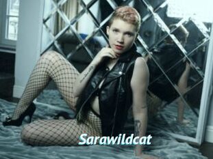 Sarawildcat