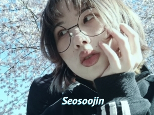 Seosoojin