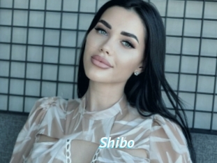 Shibo