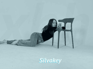 Silvakey