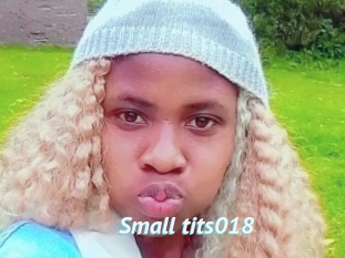 Small_tits018
