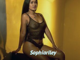 Sophiariley