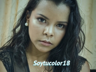Soytucolor18