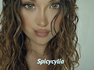 Spicycylia