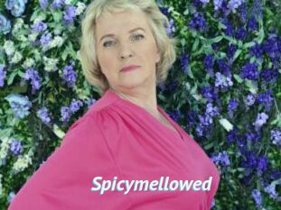 Spicymellowed
