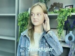 Synnefugler