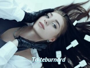 Taiteburnard