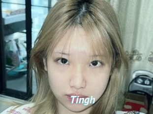 Tingh