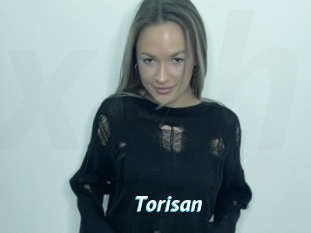 Torisan