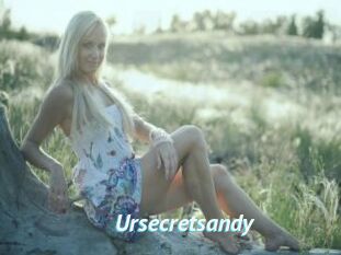 Ursecretsandy