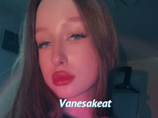 Vanesakeat