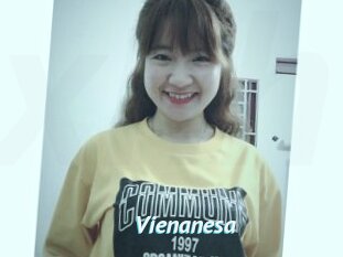 Vienanesa