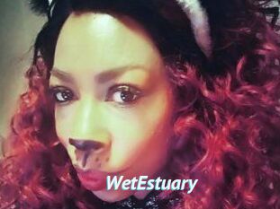 WetEstuary