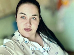 Wilddaisy