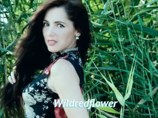 Wildredflower
