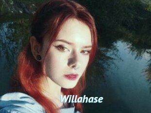 Willahase