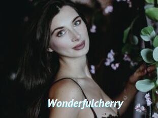 Wonderfulcherry